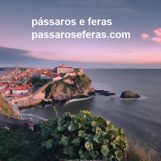 pássaros e feras